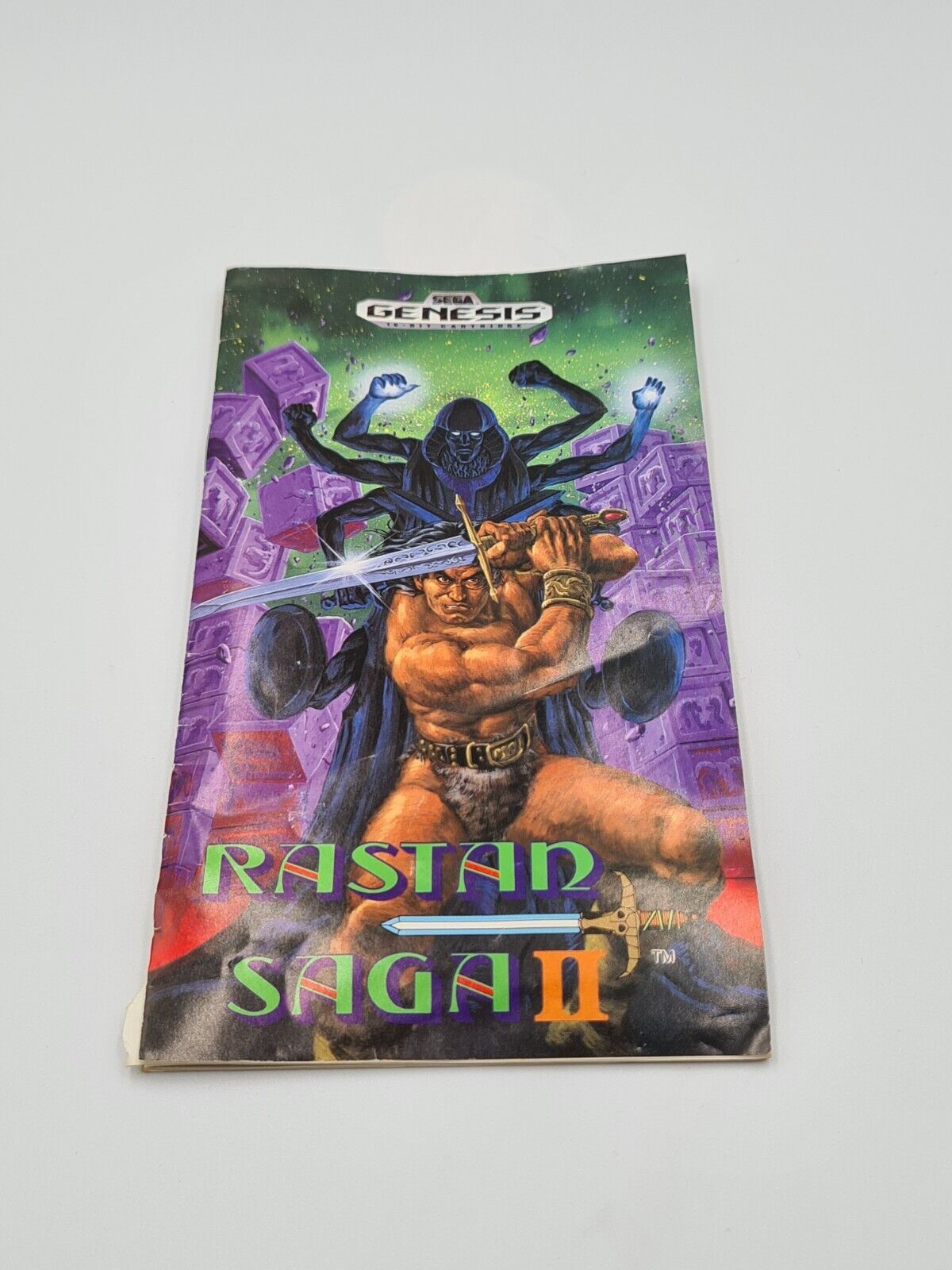 Sega Genesis Rastan Saga II mit OVP und Anleitung USA - T-Retro-Games 