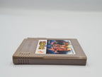 Nintendo Game Boy Classic Spiel Castlevania II 2 Belmont's Revenge Modul Japan