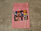 PS2 Playstation 2 Spiel Grand Theft Auto Vice City mit Anleitung Deutsch - T-Retro-Games 