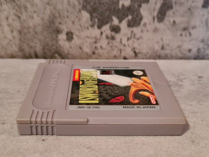 Nintendo Game Boy Classic Spiel Sword of Hope Modul FRG - T-Retro-Games 