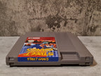 Nintendo NES Street Gangs Modul FAH - T-Retro-Games 