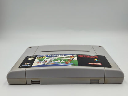 SNES Super Nintendo Bugs Bunny Rabbit Rampage Modul NOE