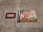 Gameboy Advance Strawberry Shortcake mit OVP und Anleitung USA - T-Retro-Games 