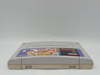 SNES Super Nintendo Spiel Street Fighter II 2 Turbo NOE Modul