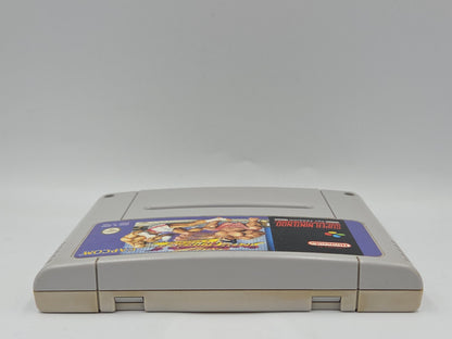 SNES Super Nintendo Spiel Street Fighter II 2 Turbo NOE Modul
