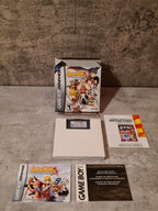 Game Boy Advance Summon Night Swordcraft Story 2 mit OVP und Anleitung USA - T-Retro-Games 