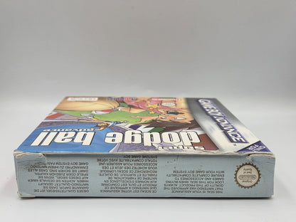 Nintendo Game Boy Advance Super Dodge Ball Advance mit OVP und Anleitung EUR