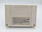 SNES Super Nintendo Super Street Fighter II Modul NOE - T-Retro-Games 