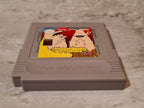 Nintendo Game Boy Classic Spiel Beavis and Butt-Head Modul EUR - T-Retro-Games 