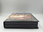 Sega Mega Drive Spiel Disney's Aladdin mit OVP und Anleitung Multilingual 