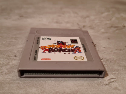 Nintendo Game Boy Classic Spiel Stop That Roach Modul USA - T-Retro-Games 