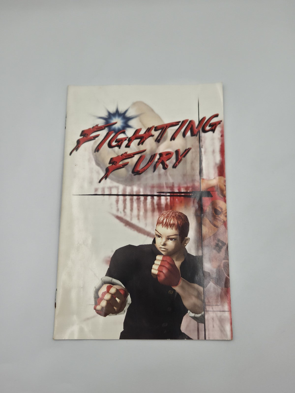 PS2 Playstation 2 Spiel Fighting Fury mit OVP und Anleitung Englisch