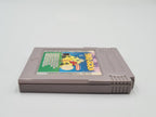 Nintendo Game Boy Classic Spiel Alfred Chicken Modul NOE - T-Retro-Games 