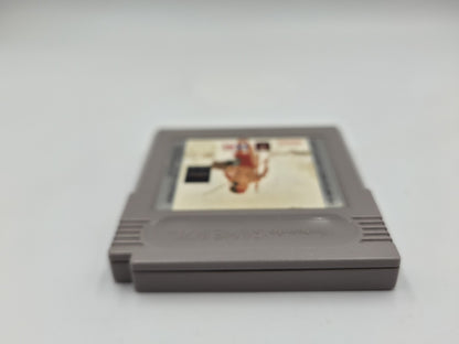 Nintendo Game Boy Classic Spiel Un Indien Dans La Ville Modul EUR