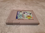 Nintendo Gameboy Classic Spiel Fish Dude Modul USA - T-Retro-Games 