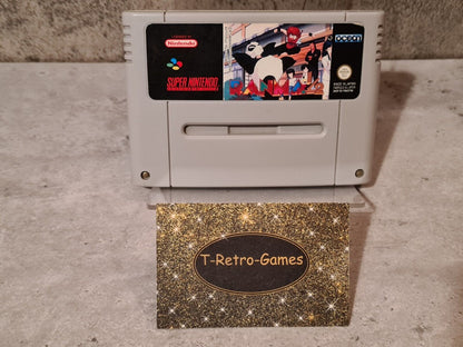SNES Super Nintendo Ranma 1/2 Modul FRA/SFRA - T-Retro-Games 