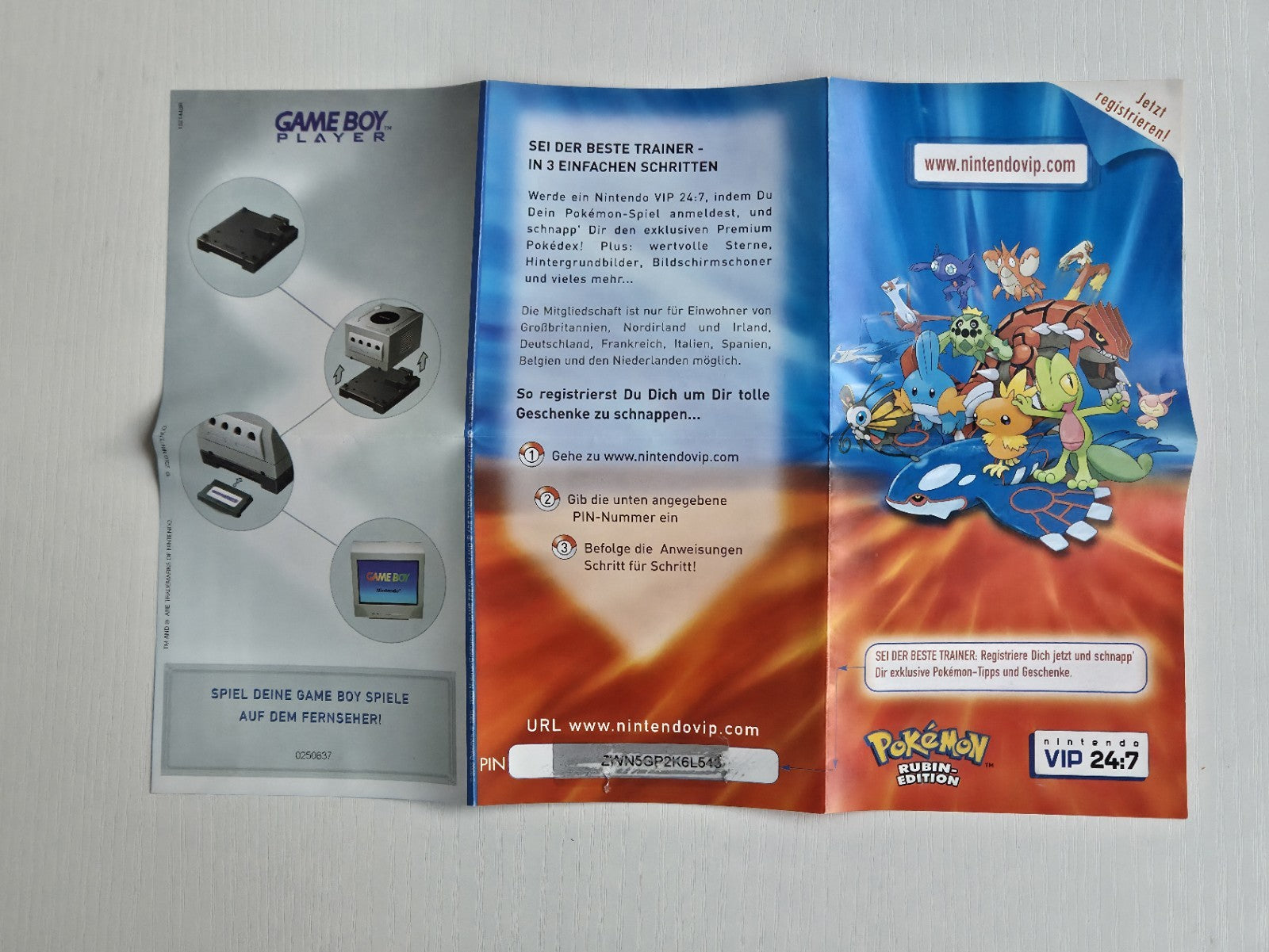 Game Boy Advance Pokemon Pinball Ruby & Sapphire Poster Reklame Flyer Insert NOE