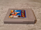 Nintendo Game Boy Classic Spiel Rodland Modul ESP - T-Retro-Games 