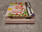 Gameboy Advance Strawberry Shortcake mit OVP und Anleitung USA - T-Retro-Games 