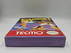 Nintendo NES Spiel Solomon's Key mit OVP und Anleitung EEC