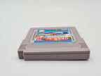 Nintendo Game Boy Classic Spiel Glücksrad Modul NOE - T-Retro-Games 
