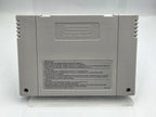 SNES Super Nintendo Frank Thomas Big Hurt Baseball Modul EUR