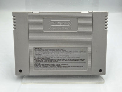 SNES Super Nintendo Frank Thomas Big Hurt Baseball Modul EUR