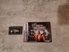 Nintendo Gameboy Advance WWF Road to Wrestlemania mit OVP und Anleitung EUR - T-Retro-Games 