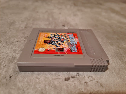 Nintendo Game Boy Classic Spiel The Blues Brothers Jukebox Adventure Modul UKV - T-Retro-Games 