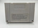 SNES Super Nintendo NBA All-Star Challenge NOE Modul