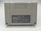 SFC Super Famicom Spiel NTSC-J Actraiser Modul Japan