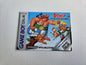 Nintendo Game Boy Color Spielanleitung Asterix auf der Suche nach Idefix NOE