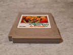 Nintendo Game Boy Classic Spiel Dragon Slayer Modul Japan - T-Retro-Games 