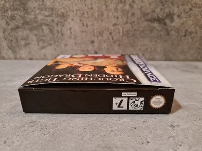 Nintendo Gameboy Advance Crouching Tiger Hidden Dragon mit OVP und Anleitung EUR - T-Retro-Games 