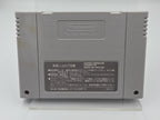 SFC Super Famicom NTSC-J The King of Dragons Modul Japan