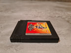 Nintendo Game Boy Color Holy Magic Century EUR Modul - T-Retro-Games 