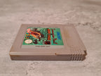 Nintendo Game Boy Classic Spiel Tazmanian Devil Island Chase Modul UKV - T-Retro-Games 