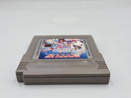 Nintendo Game Boy Classic Spiel Titus Fox Modul FAH - T-Retro-Games 