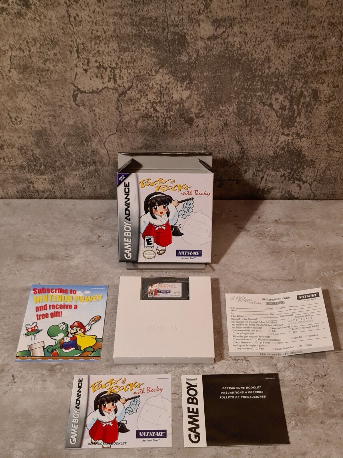 Nintendo Game Boy Advance Pocky & Rocky with Becky mit OVP und Anleitung USA - T-Retro-Games 
