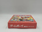 Nintendo Game Boy Classic Spiel Dungeon Land mit OVP und Anleitung Japan