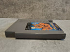 Nintendo NES Tecmo World Wrestling Modul FRA - T-Retro-Games 