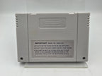 SNES Super Nintendo Wayne's World Modul UKV