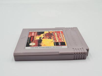 Nintendo Game Boy Classic Spiel Samurai Shodown Modul FAH - T-Retro-Games 