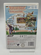 Nintendo Wii Spiel Big Family Games mit OVP und Anleitung EUT