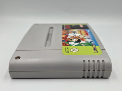 SNES Super Nintendo Goof Troop NOE/SFRG Modul