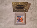 Nintendo Game Boy Classic Spiel Best of The Best Championship Karate Modul USA - T-Retro-Games 