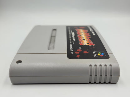 SFC Super Famicom NTSC-J Fatal Fury Garou Densetsu Modul Japan