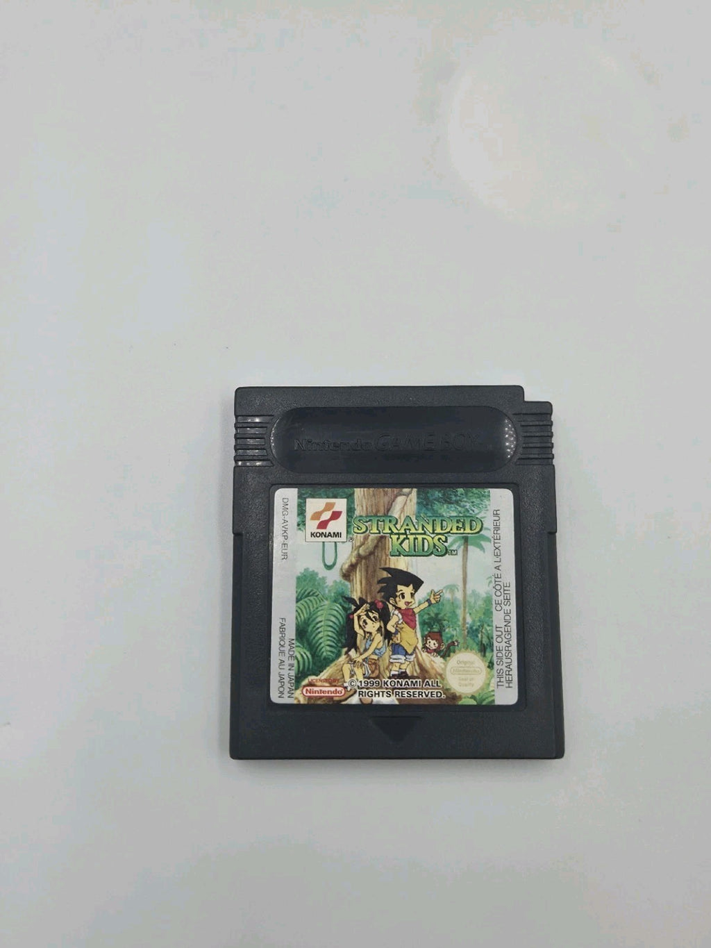Nintendo Game Boy Color Spiel Stranded Kids Modul EUR