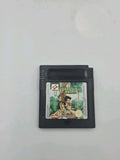 Nintendo Game Boy Color Spiel Stranded Kids Modul EUR