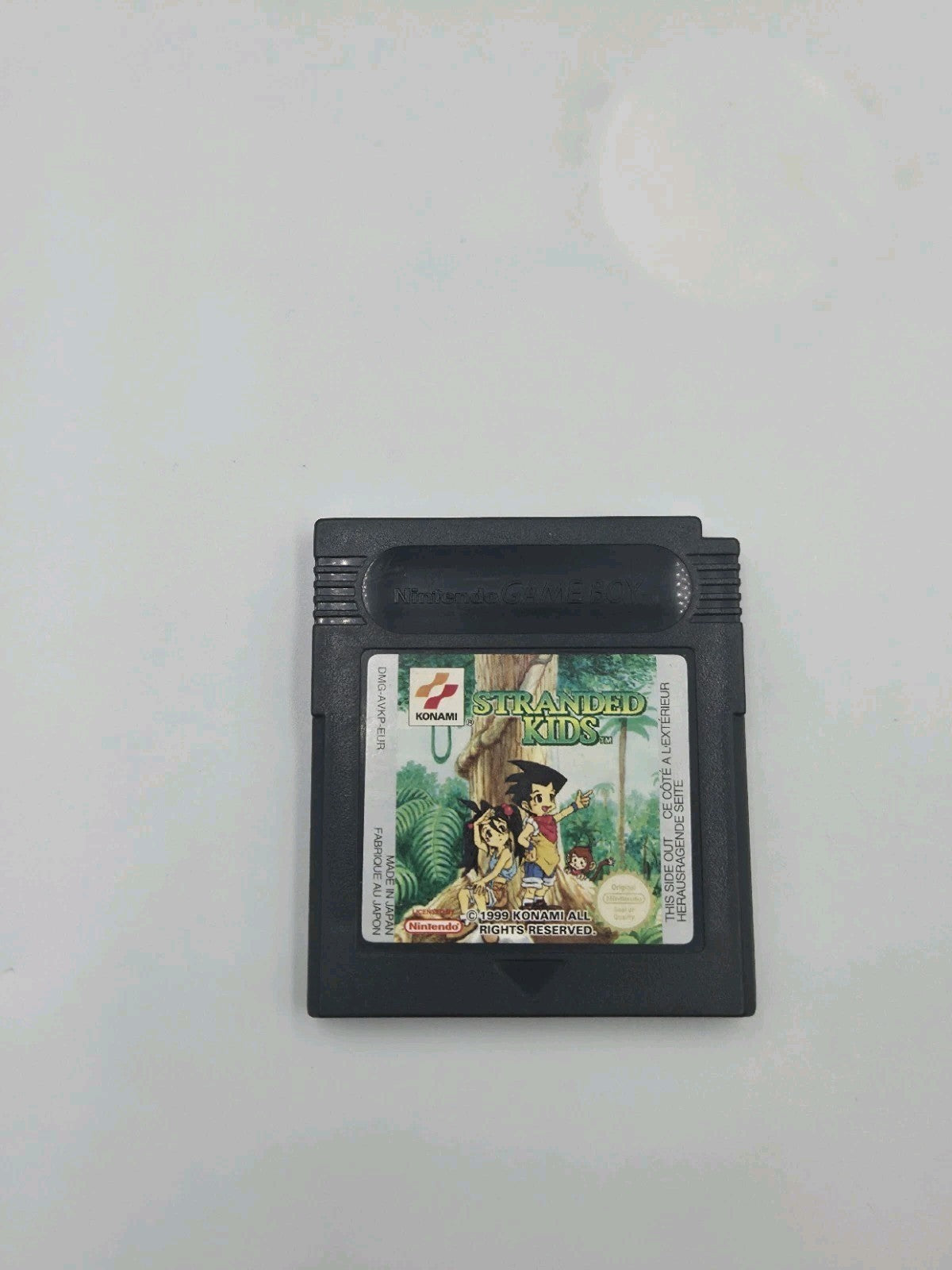 Nintendo Game Boy Color Spiel Stranded Kids Modul EUR